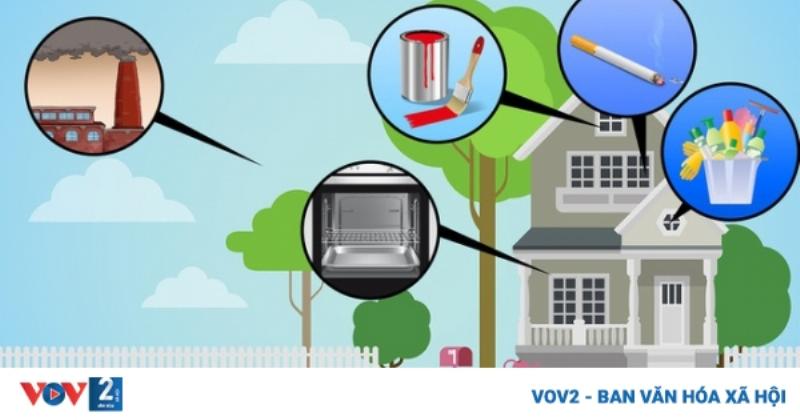 Cây xanh trong nhà giúp lọc không khí, giảm bụi mịn và các hóa chất độc hại